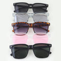 Classic Tinted Wayfarer Sunglasses