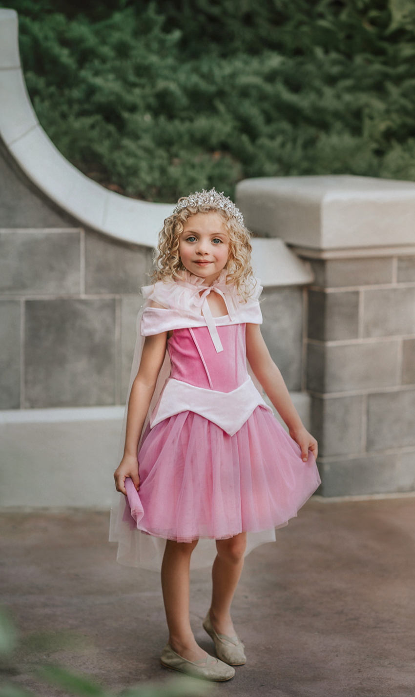 Fancy Princess tulle ballgown Dress Sleeping Beauty Pink