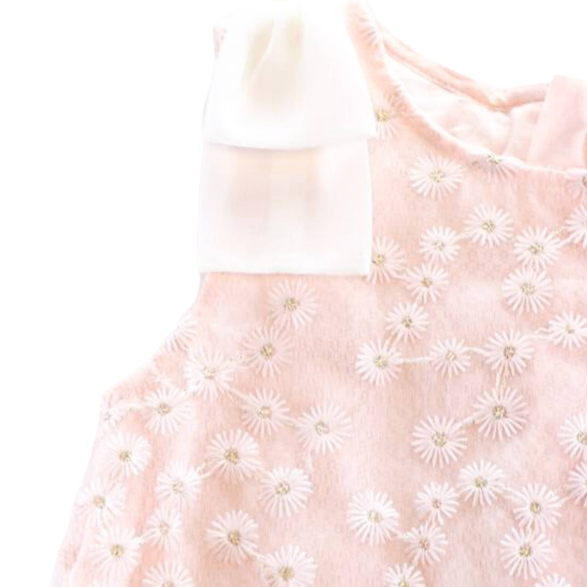 S50 13038  Floral Embroidered Sheer Dress