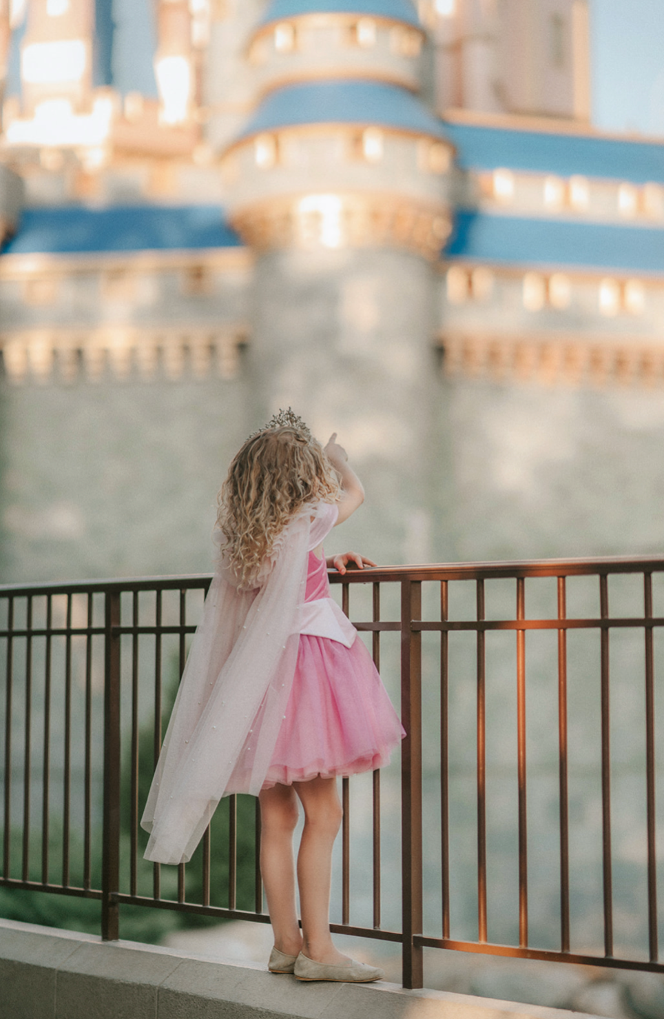 Fancy Princess tulle ballgown Dress Sleeping Beauty Pink