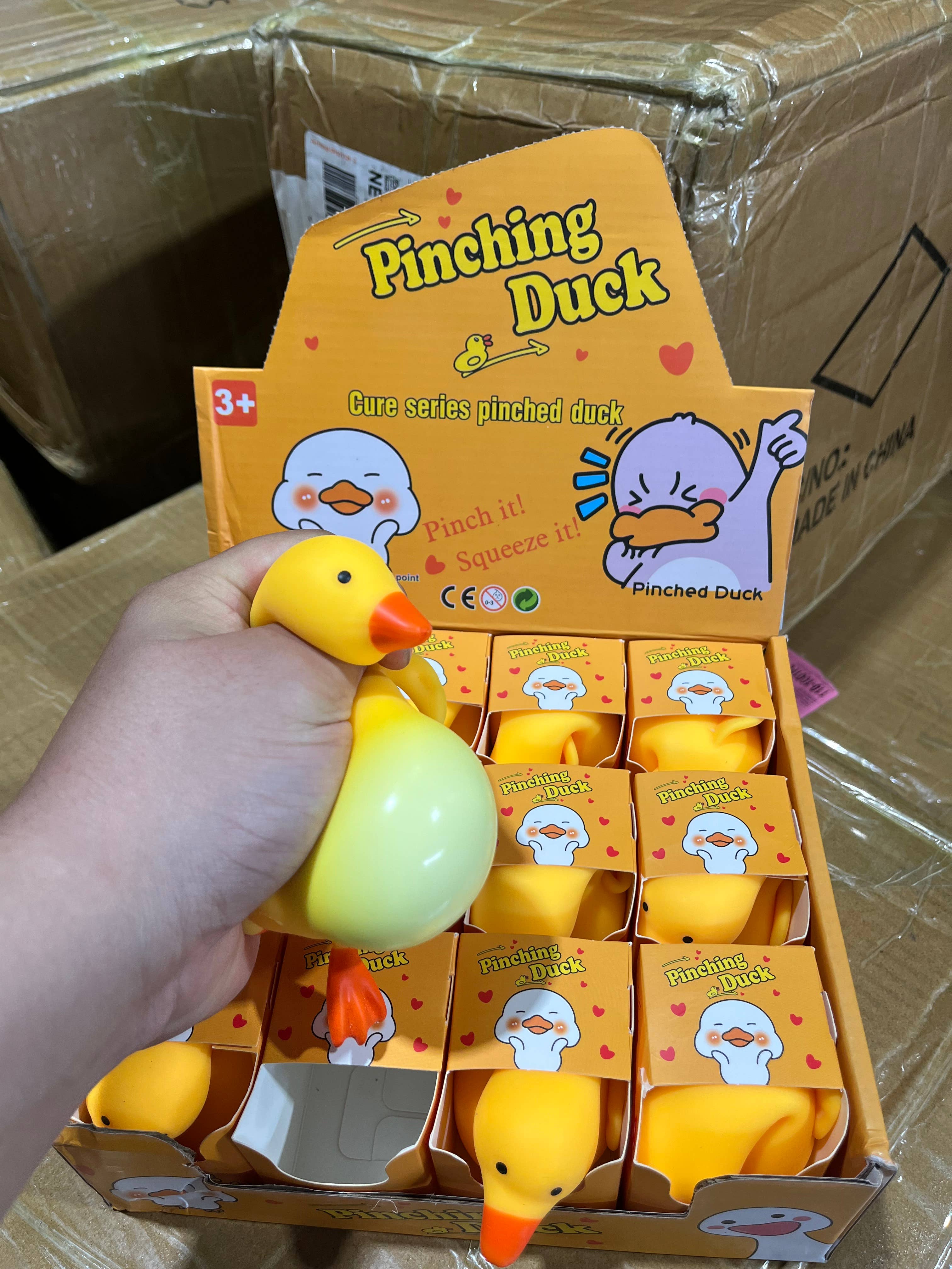 Silly Squishy Goose