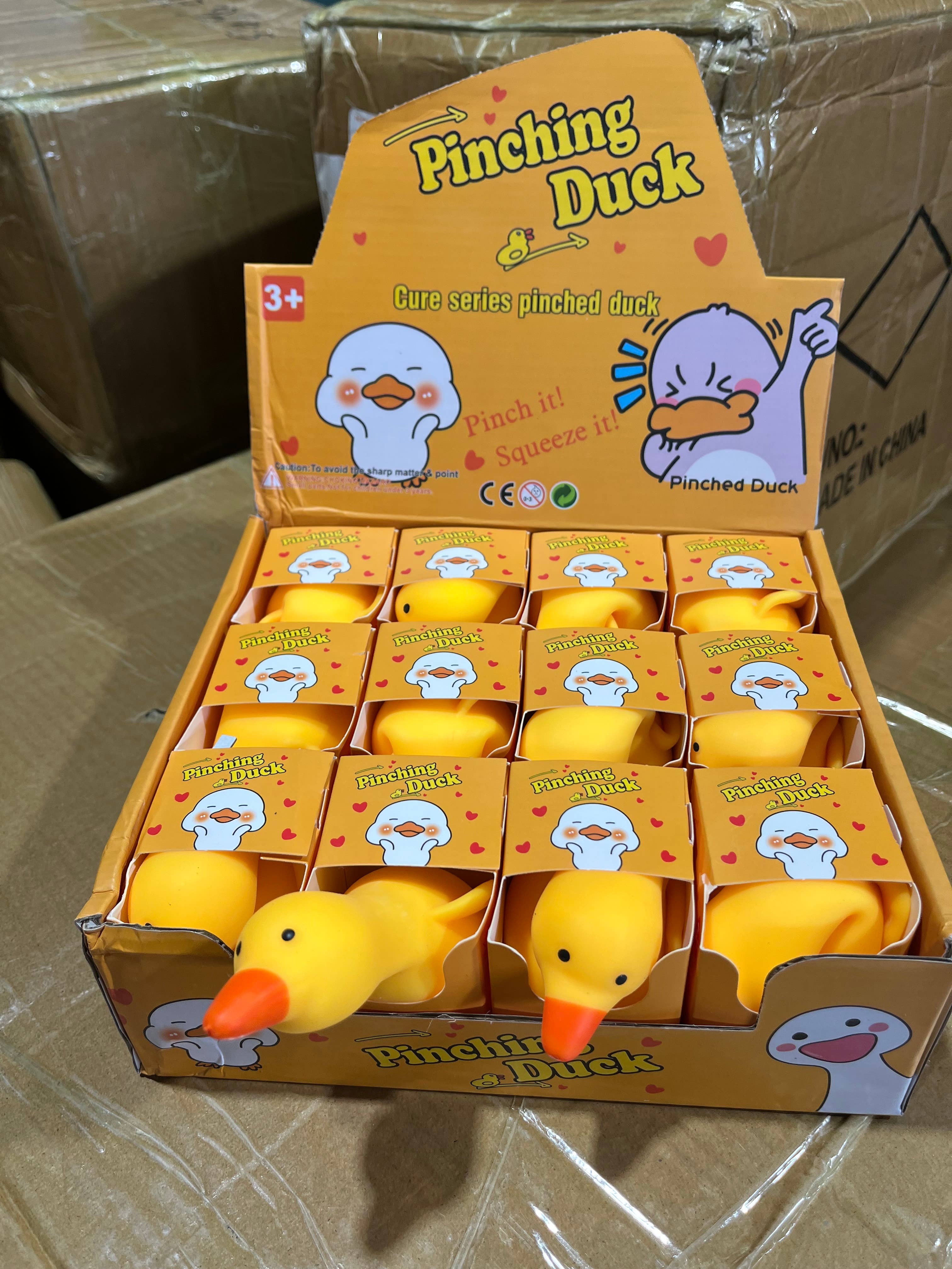 Silly Squishy Goose