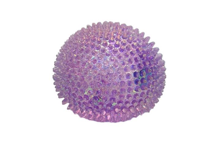 squish Spikes Sensory Toys