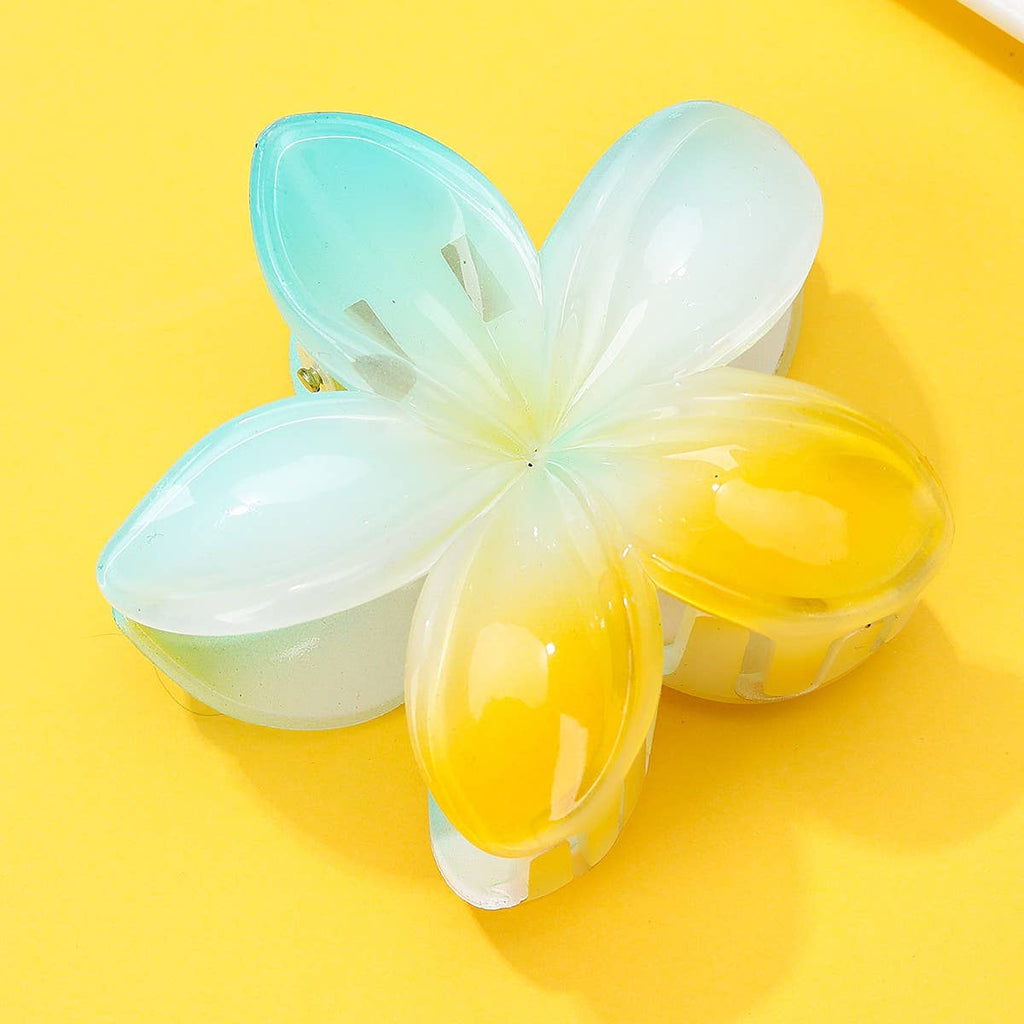 Gradient Floral Resin Hair Claw Clips | 40H1064