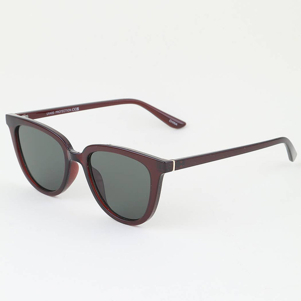 Minimal Tinted Wayfarer Sunglasses