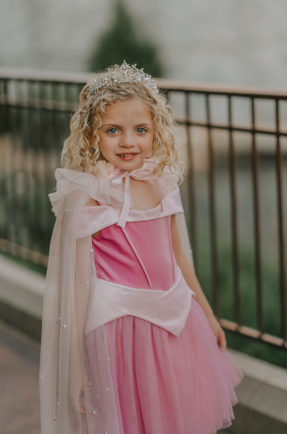 Fancy Princess tulle ballgown Dress Sleeping Beauty Pink