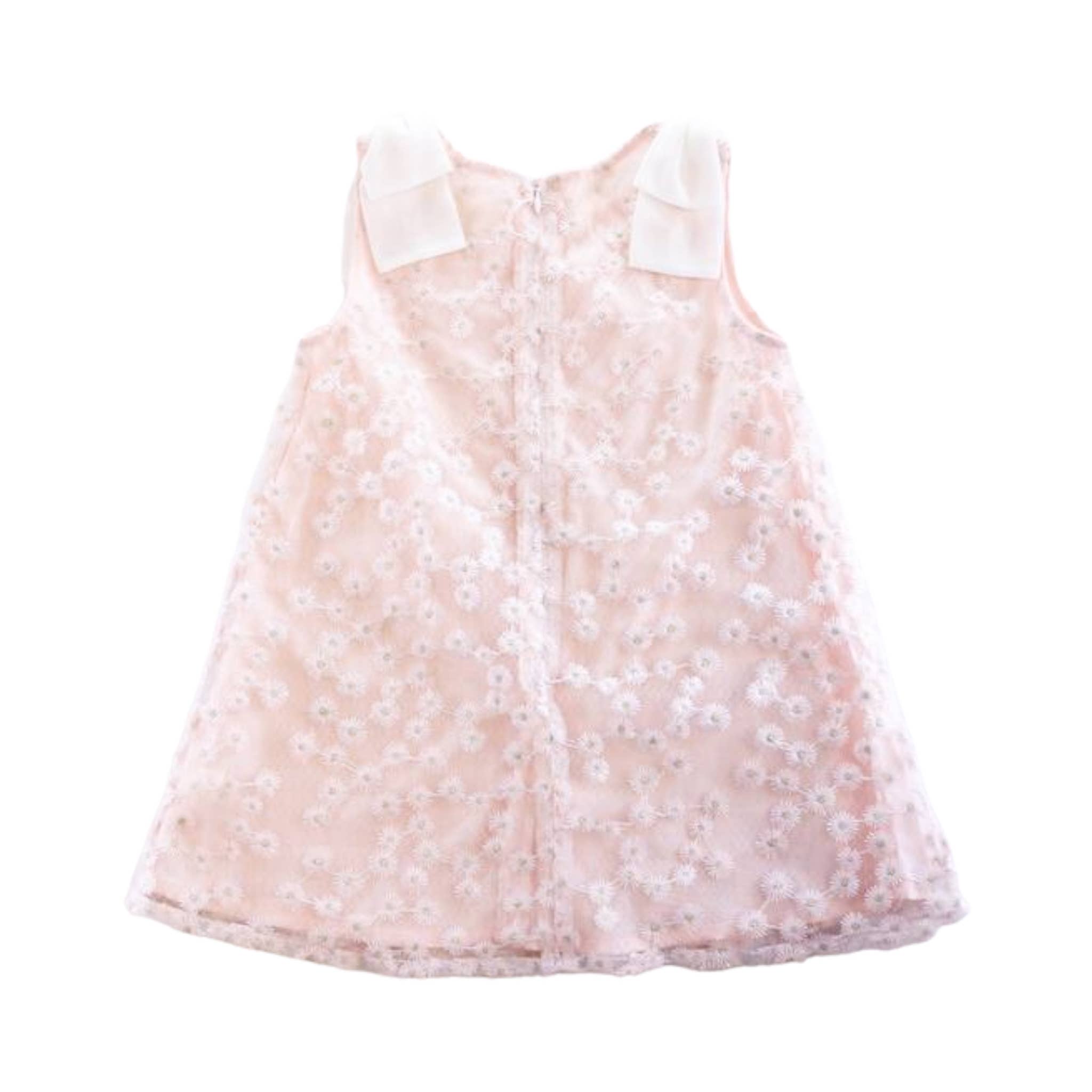 S50 13038  Floral Embroidered Sheer Dress
